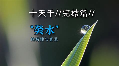 金多水浊|金多水浊，水多金沉命例解析